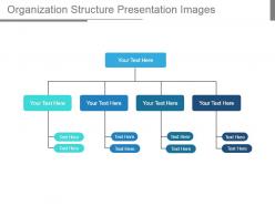 Organization structure presentation images