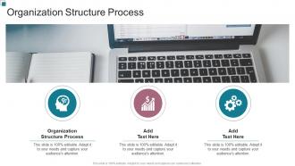 Organization Structure Process In Powerpoint And Google Slides Cpb