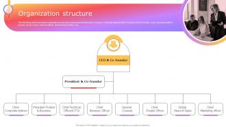 Organization Structure Stripe Investor Funding Elevator Pitch Deck
