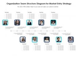 Organization team structure diagram for market entry strategy infographic template