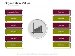 Organization values ppt powerpoint presentation model infographics cpb
