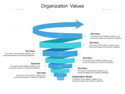 Organization values ppt powerpoint presentation summary professional cpb