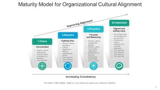 Organizational Alignment Framework Strategic Development Requirements