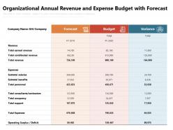 Organizational annual revenue and expense budget with forecast