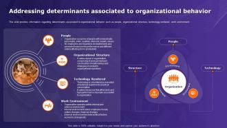 Organizational Behavior Theory Addressing Determinants Associated To Organizational