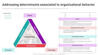 Organizational Behavior Theory For High Addressing Determinants Associated To Organizational