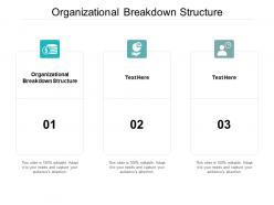 Organizational breakdown structure ppt powerpoint presentation design templates cpb