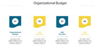 Organizational Budget Ppt Powerpoint Presentation Pictures Mockup Cpb