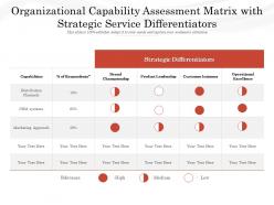 Organizational capability assessment matrix with strategic service differentiators