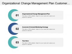 Organizational change management plan customer oriented marketing strategy cpb