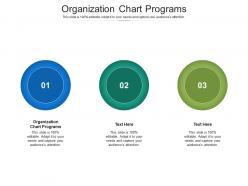 Organizational chart diagram ppt powerpoint presentation icon infographics cpb