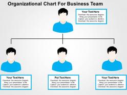 Organizational chart for business team flat powerpoint design