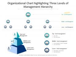 Organizational chart highlighting three levels of management hierarchy