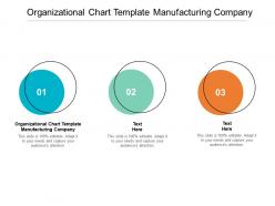 Organizational chart template manufacturing company ppt powerpoint presentation show cpb