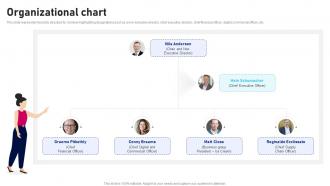 Organizational Chart Unilever Company Profile CP SS