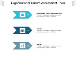 Organizational culture assessment tools ppt powerpoint presentation infographics master slide cpb