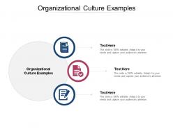 Organizational culture examples ppt powerpoint presentation layouts designs cpb