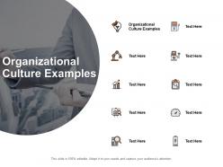 Organizational culture examples ppt powerpoint presentation portfolio visuals cpb