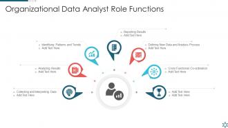 Organizational Data Analyst Role Functions
