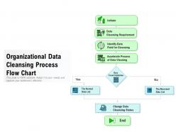 Organizational data cleansing process flow chart