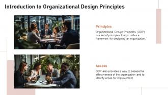 Organizational Design Principles powerpoint presentation and google slides ICP Customizable Content Ready