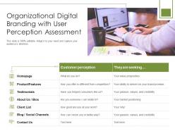 Organizational digital branding with user perception assessment