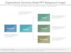 Organizational dynamics model ppt background images