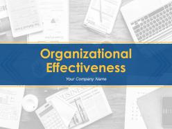 Organizational Effectiveness Powerpoint Presentation Slides