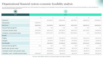 Organizational Financial System Economic Feasibility Analysis