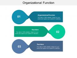 Organizational function ppt powerpoint presentation portfolio information cpb