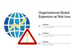 Organizational global expansion at risk icon