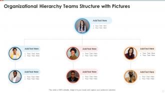 Organizational hierarchy teams structure with pictures infographic template