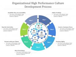 Organizational high performance culture development process