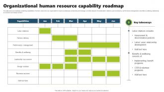 Organizational Human Resource Capability Roadmap
