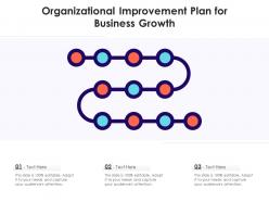 Organizational Improvement Plan For Business Growth