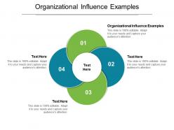 Organizational influence examples ppt powerpoint presentation infographics format cpb