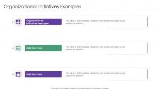 Organizational Initiatives Examples In Powerpoint And Google Slides Cpb