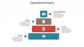 Organizational integrity ppt powerpoint presentation styles shapes cpb