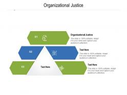 Organizational justice ppt powerpoint presentation icon inspiration cpb
