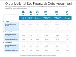 Organizational key financials data assessment