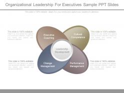 Organizational leadership for executives sample ppt slides