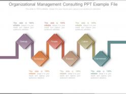 Organizational Management Consulting Ppt Example File