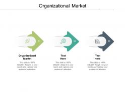 Organizational market ppt powerpoint presentation portfolio summary cpb