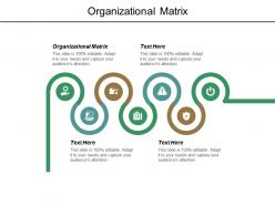 Organizational matrix ppt powerpoint presentation layouts styles cpb