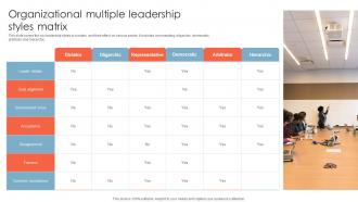 Organizational Multiple Leadership Styles Matrix