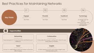 Organizational Network Mapping Strategies PPT Slides AT Visual Engaging
