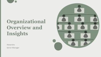 Organizational Overview And Insights PPT Presentation AT