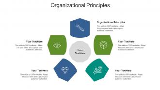 Organizational principles ppt powerpoint presentation outline vector cpb