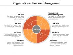 Organizational process management ppt powerpoint presentation gallery example topics cpb