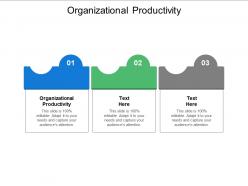 Organizational productivity ppt powerpoint presentation icon files cpb